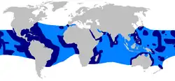 Mapa-múndi com grandes áreas nos trópicos de todos os oceanos coloridas em azul escuro e os espaços entre elas coloridos em azul claro para formar uma faixa global contínua