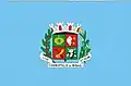 Bandeira de Carmópolis de Minas