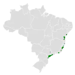 Distribuição do sabiá-pimenta