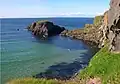 Aves em Carrick-a-Rede