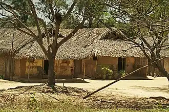 Casa coberta com folhas de coco-de-palmeira (babaçu) no Maranhão