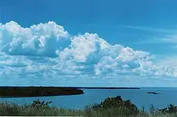 Resquícios de Mata Atlântica no encontro dos rios Sucuriú e Paraná na Cascalheira