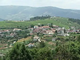 Panorama de Castedo