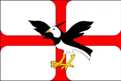 Bandeira de Čejkovice