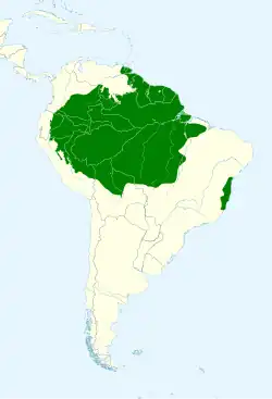 Distribuição do pica-pau-de-coleira