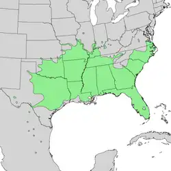 Área natural da Celtis laevigata