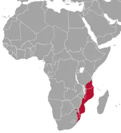 Território do duiker-vermelho