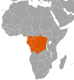 Território do duiker-de-fronte-negra