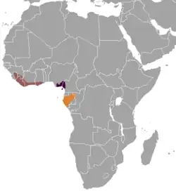 Território do duiker-de-ogilby