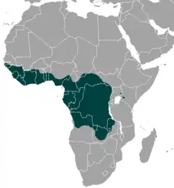 Território do duiker-de-dorso-amarelo