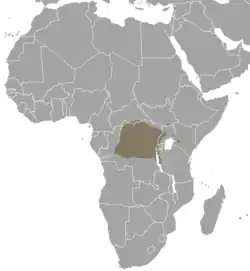 Território do duiker-de-weyns