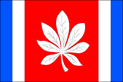 Bandeira de České Velenice