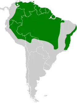 Distribuição do urubuzinho na América do Sul