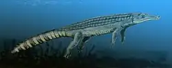 Chenanisuchus lateroculi Um crocodilo Comprimento: 4 m