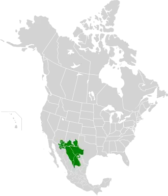 Mapa do deserto de Chihuahua na América do Norte