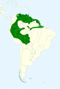 Distribuição geográfica do esmeralda-de-cauda-azul.
