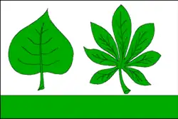 Bandeira de Chlumek