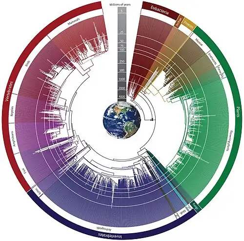 Árvore circular da vida de 1.610 famílias de Hedges e Kumar.[42]