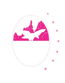 Magenta: &nbsp;&nbsp;60% &nbsp;&nbsp;60% &nbsp;&nbsp;10%