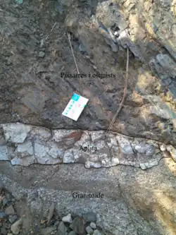 Contato entre rochas metamórficas, filonianas e plutônicas, com régua de escala para referência. Destacam-se a textura laminada das metamórficas e a faixa clara da rocha filoniana atravessando o afloramento.