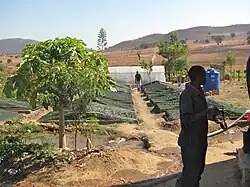 File:Coopecunha Huambo Angola.jpg