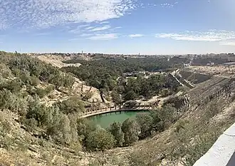 Vista do palmeiral de Nefta, a chamada Corbeille (cabaz em francês)