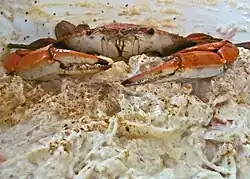 Detalhe de um molho de caranguejo, com um caranguejo em cima