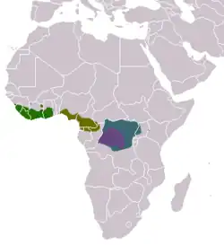 Distribuição das espécies do gênero Crossarchus: C. alexandri em azul, C. ansorgei em roxo, C. obscurus em verde, e C. platycephalus em verde-oliva