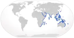 Alcance do tubarão-zebra.