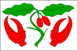 Bandeira de Dřínov