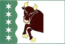 Bandeira de Dřenice