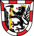 Brasão de Arzberg (Oberfranken)