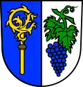 Brasão de Hagnau