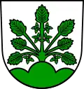 Brasão de Haslach