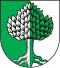 Brasão de Holzheim