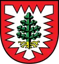 Brasão de Pinneberg