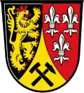 Brasão de Amberg-Sulzbach