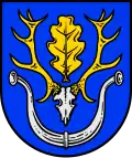Brasão de Linsburg