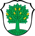 Brasão de Altenstadt