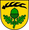 Brasão de Pliezhausen