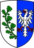 Brasão de Saalstadt