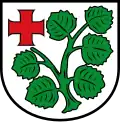 Brasão de Schenklengsfeld