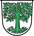 Brasão de Waldmünchen