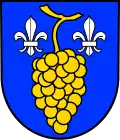 Brasão de Wallhausen