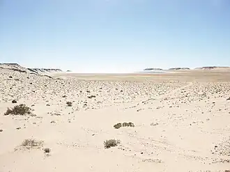 Panorama do deserto no Sara Ocidental.
