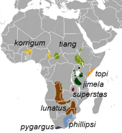 Distribuição das populações do gênero Damaliscus, incluindo: &nbsp;&nbsp;&nbsp;&nbsp;&nbsp;Bonteboque (D. p. pygargus)