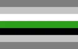 variação alternativa da bandeira demineutrois