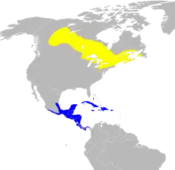 Distribuição de S. magnolia Época de reprodução Época de inverno