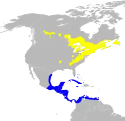 Distribuição de S. virens (nota: faltando a distribuição em Hispaniola e Porto Rico) Amarelo: Distribuição na reprodução Azul: Distribuição na invernada