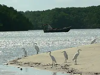 Descanso das Garças